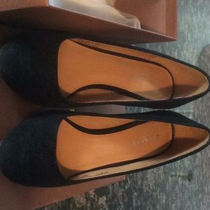 Coach Black Suede shoes